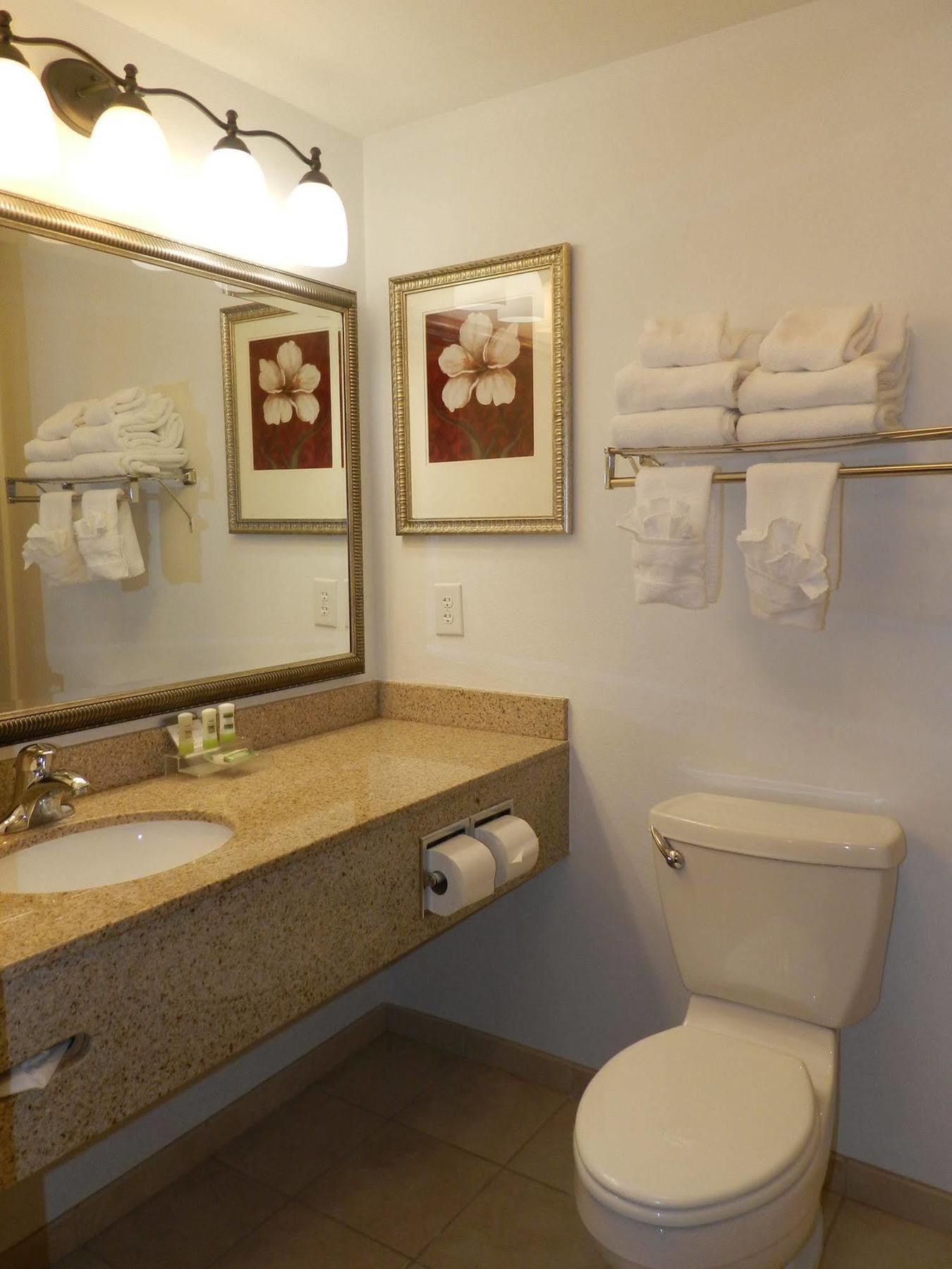 Country Inn & Suites By Radisson, Braselton, Ga Buitenkant foto